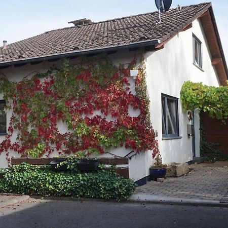 Haus Eifeldolomiten - Ankommen und Wohlfühlen Gerolstein Exterior foto